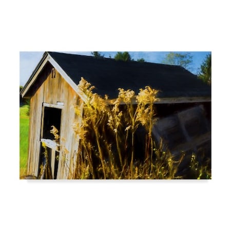 Anthony Paladino 'Golden Rods Along Abandon Barn Autumn' Canvas Art,12x19